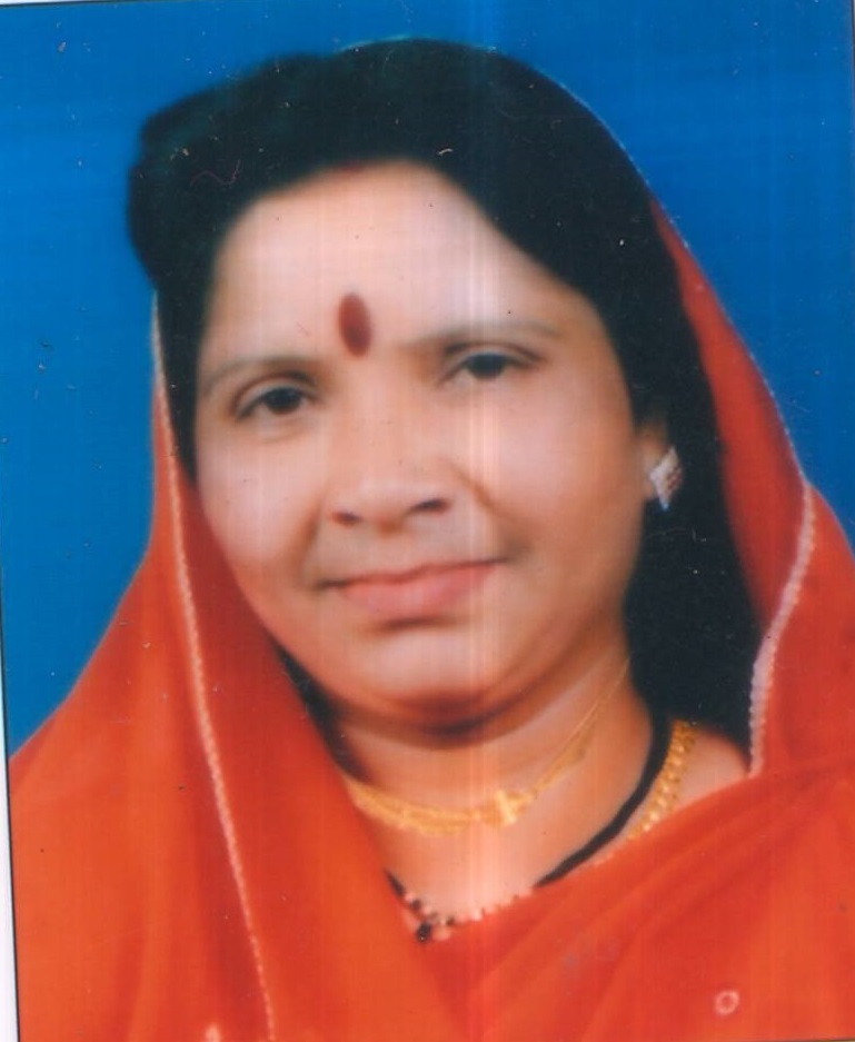 सदस्य